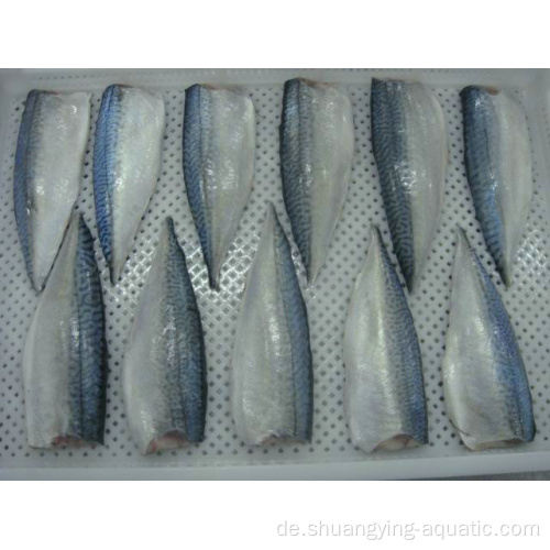 Pazifische Makrele gefrorene Makrelefilet -Meeresfrüchte